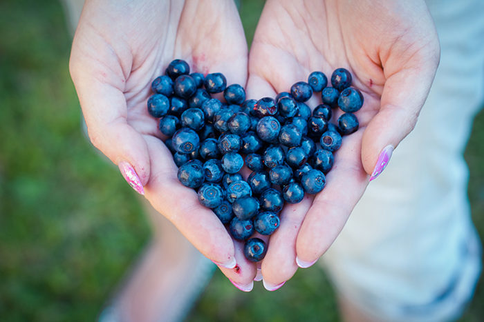 7 Alimentos purpura ricos en antocianinas para reforzar el sistema inmunitario