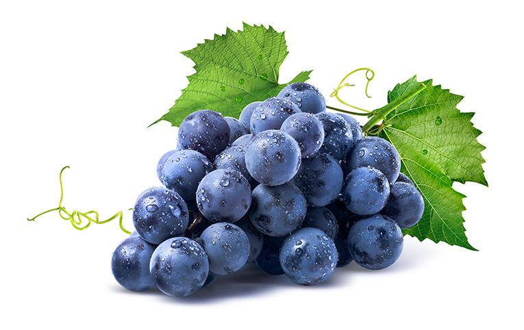 Uvas