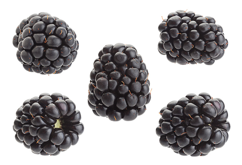 Moras