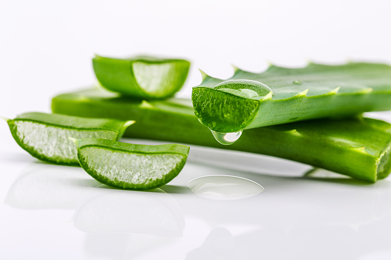 aloe vera ricos manjares